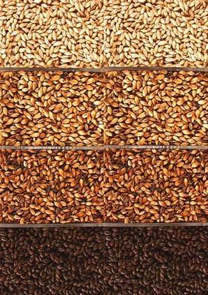 Maltes Especiais